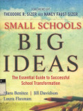 Small Schools Big Ideas; The Essential Guide to Successful School Transformation